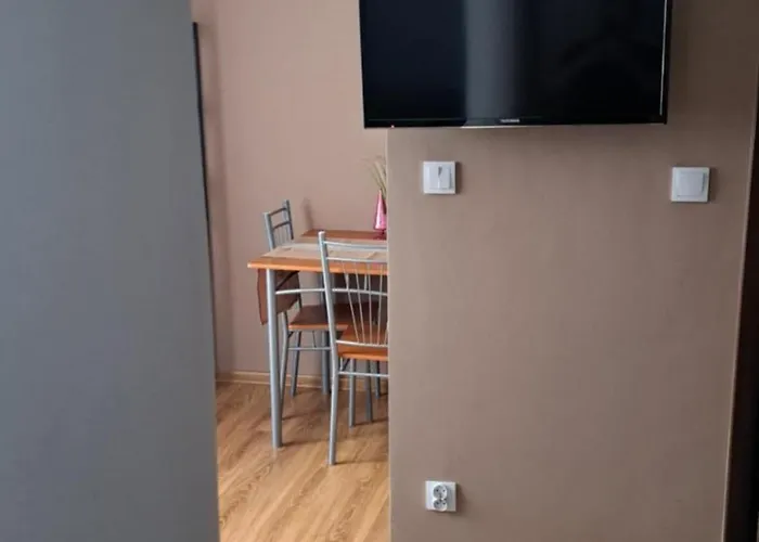 Damianek * Nowy Targ